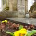 The grave of Adam Majewski in Warsaw city