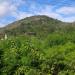 Morro da Muzema (pt) in Rio de Janeiro city