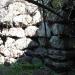 Nuraghe Camedda