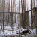 Развалины старого завода в городе Трёхгорный (ЗАТО)