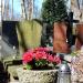 The grave of Jan Knothe in Warsaw city