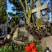 The Tomb of Janusz Atlas in Warsaw city