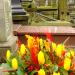 The grave of Edward Guttman in Warsaw city