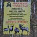Ворота в городе Севастополь