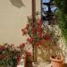Garden Recidence & Villas in Aqaba city