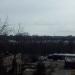 Тополиная роща в городе Череповец