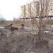 Руины в городе Вологда
