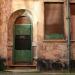 Derelict Building in Nottingham city