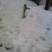 Водоразборная колонка в городе Сергиев Посад