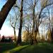 Saxon Garden in Lublin city