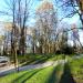 Saxon Garden in Lublin city