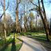 Saxon Garden in Lublin city