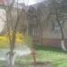Пожарный гидрант (ru) в місті Бровари