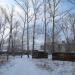 Шамская роща в городе Арзамас