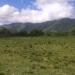 Serra do Bananal na Maricá city