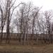 Спорткомплекс ЧГУ в городе Череповец