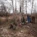 Ликвидированная стоянка бомжей в городе Томилино