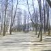 Парк в городе Мга