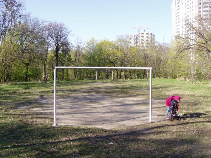 football-soccer-field-kyiv