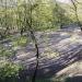 Футбольное поле в городе Киев