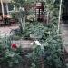 Гостевой дом «Комиссарова, 22» (ru) in Feodosiya / Feodosiia city