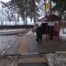 Автобусная остановка «Посёлок Акулово» в городе Пушкино
