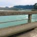 Waitaki Bridge