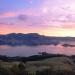 Otago Harbour