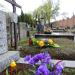 The grave of Kazimierz Rossowski