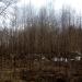 Руины в городе Череповец