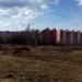 Роща в городе Череповец