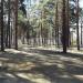 Турники в городе Екатеринбург