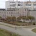 Школьный сквер в городе Череповец