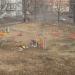 Детская площадка в городе Выборг