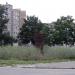 Ветряк в городе Киев