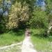 Лестница в городе Запорожье