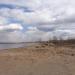 Заброшенный пирс в городе Череповец