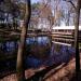 Staw in Sopot city