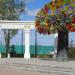 Декоративная арка и Дерево счастья в городе Тюмень