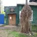 Туберкулёзный диспансер в городе Арзамас