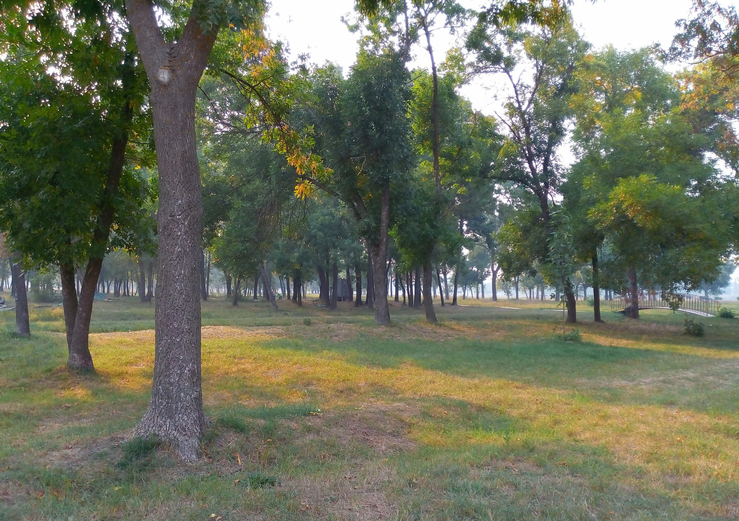парк северный славянск на кубани