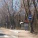 Автобусная остановка «Улица Шинников» в городе Всеволожск