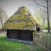 Chlewik z Wichrowa in Opole city