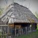 Chlewik z Wichrowa in Opole city