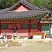Samhwasa Simgeomdang (en) 在 東海市 城市 