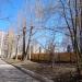 Хоккейная коробка в городе Череповец