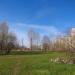 Зеленая зона в городе Череповец
