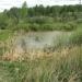 Болото в городе Екатеринбург