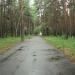 Асфальтированная площадка в городе Екатеринбург