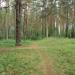 Бывшая детская площадка в городе Екатеринбург